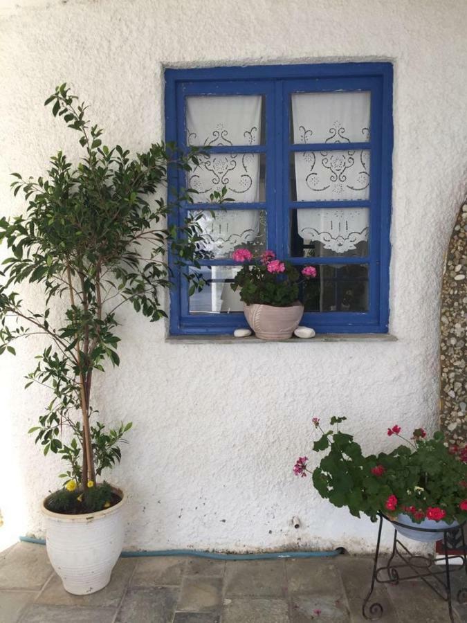 Villa Lula Nea Styra Bagian luar foto